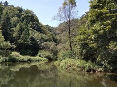 -洛阳白云山景区
