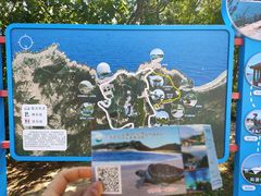 -广东惠东海龟国家级自然保护区