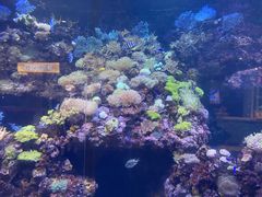 -海合安青岛极地海洋公园
