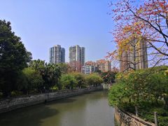 -晓港公园
