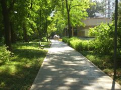 DSC_3342-南馆公园