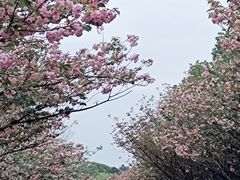 -凤凰沟景区