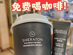-西安赛瑞喜来登大酒店