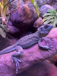 -酷嗒动物文化乐园(cutezoo西溪乐天城店)