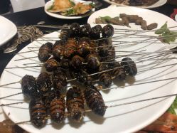 -鑫淼餐饮娱乐中心(江东街店)