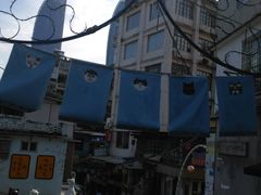 -猫咪博物馆(顶澳仔猫街店)