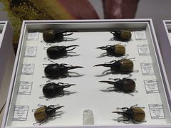 -烟台市博物馆