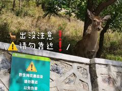 -大连森林动物园