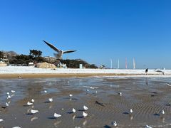 -老虎石海上公园