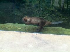 -广东省拱北口岸中国旅行社(华宾营业部)