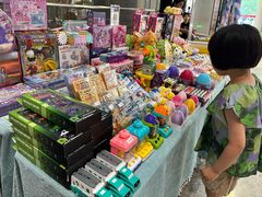 -中国宋庆龄青少年科技文化交流中心