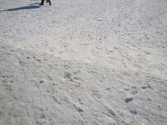 -蓟县盘山滑雪场