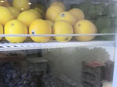 -雾与山茶(大禹城店)