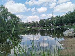 -大兴滨河森林公园