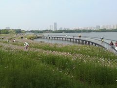 -海珠湖公园