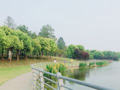 -美兰湖景区