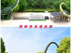 -中国西峡恐龙遗迹园