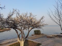 -阳澄湖半岛旅游度假区