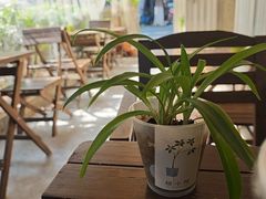 -绿小院(荔湾店)