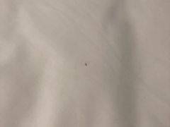 -无锡新湖铂尔曼大酒店