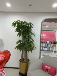 -丰联丽格医疗美容·联合丽格眼整形中心