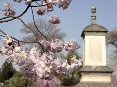 -西安青龙寺遗址景区