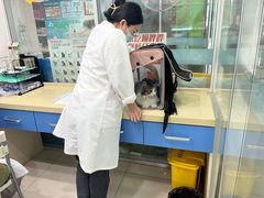 -乖乖乐动物医院(小汤山分院)