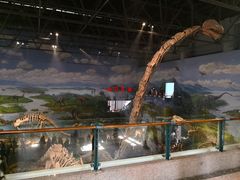 景点-自贡恐龙博物馆