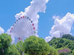 -温州乐园