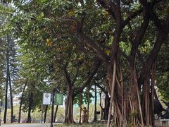 -广州雕塑公园