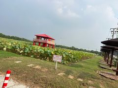 -嘉北郊野公园
