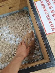 点击看大图 -神奇动物撸宠馆·羊驼·小浣熊·异宠(豫园店)