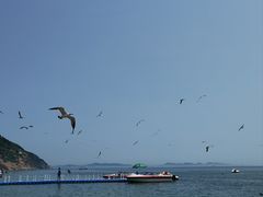 -棒棰岛宾馆景区