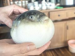 -永安鱼庄·镇江菜(丁卯店)