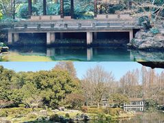 -杭州植物园