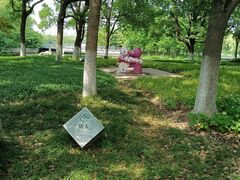 -昆山城市生态森林公园