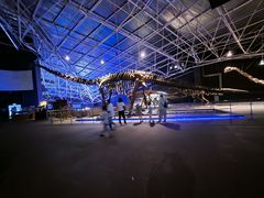 -世界恐龙谷景区