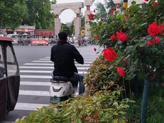 -百年家风·老馆子(东风店)