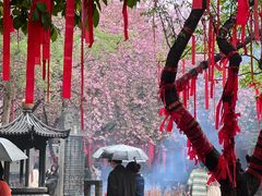 -西安青龙寺遗址景区
