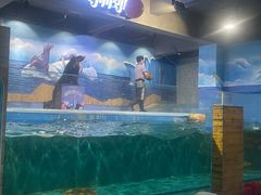 -顺德南宏海立方海洋公园