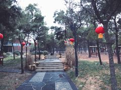 -东海森林温泉度假酒店