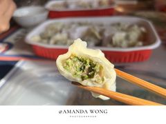 茴香肉水饺-添福来墨鱼饺子 · 海鲜东北菜(大连星海·黄浦路店)