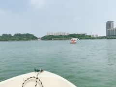-暨阳湖生态园