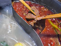 -阳阳老火锅(小南门店)