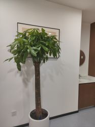 -丰联丽格医疗美容·联合丽格眼整形中心