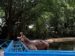 -广州长隆飞鸟乐园