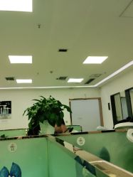 -悟空祛痘·亚健康皮肤管理中心