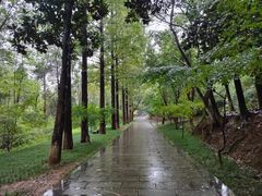 -敬亭山风景名胜区