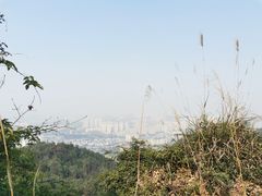 -南山植物园