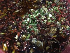 -东吴霸王兔(松青路店)